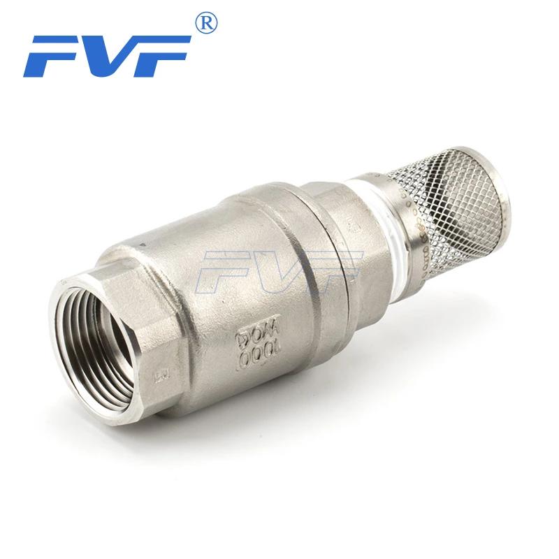 Stainless Steel Non Return Check Valve With Net