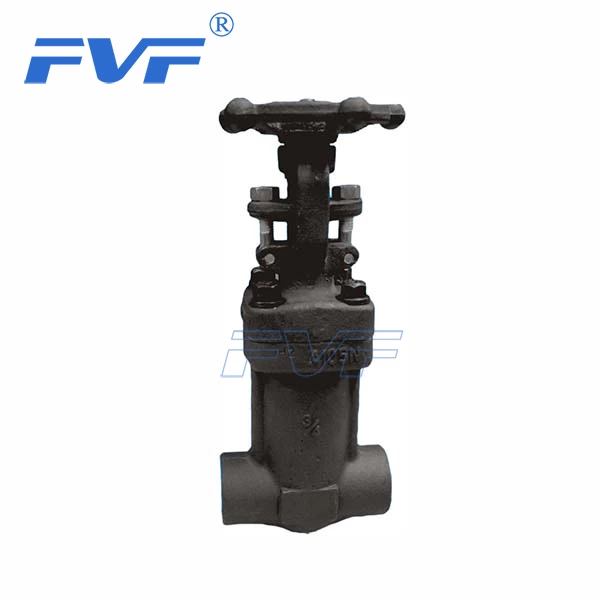 APl 602 Bellow Sealed A105  Gate Valve Class 800