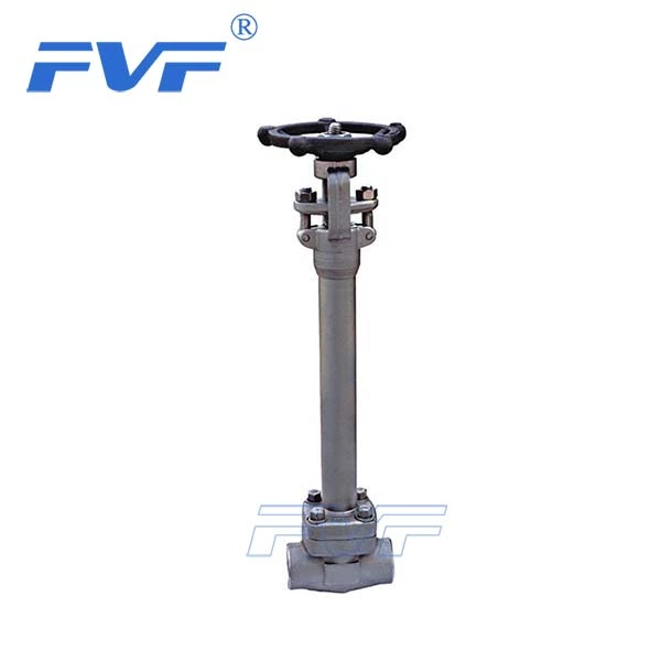 Forged Stainless Steel Cryogenic Gate Valve