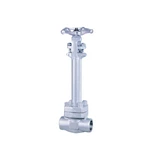 Forged Stainless Steel Cryogenic Globe Valve