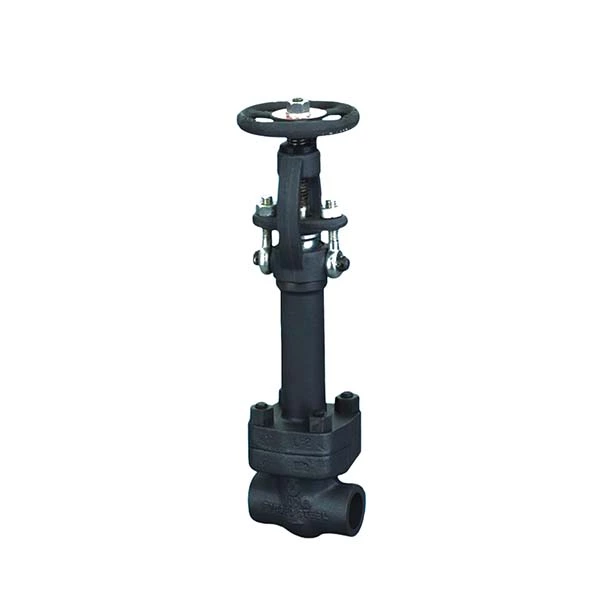 Forged Steel Cryogenic Globe Valve