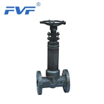 Forged Steel Cryogenic Gate Valve