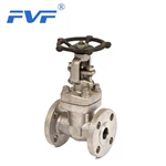 Forged Stainless Steel Flanged Gate Valve