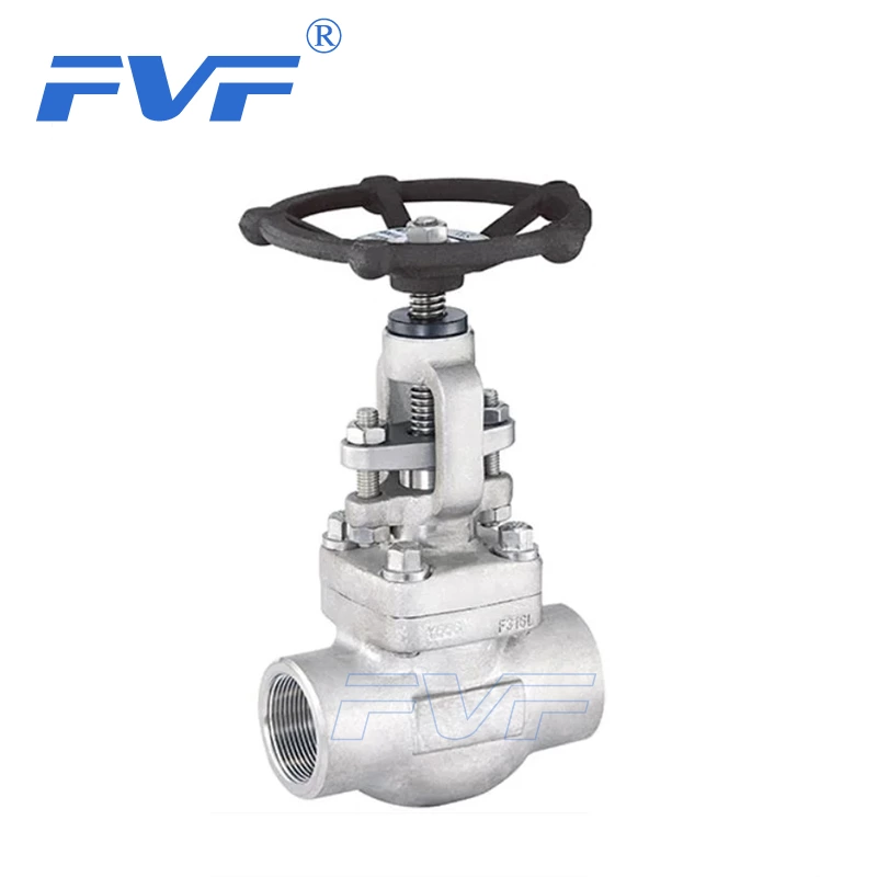 Forged Stainless Steel Globe Valve Female Ends