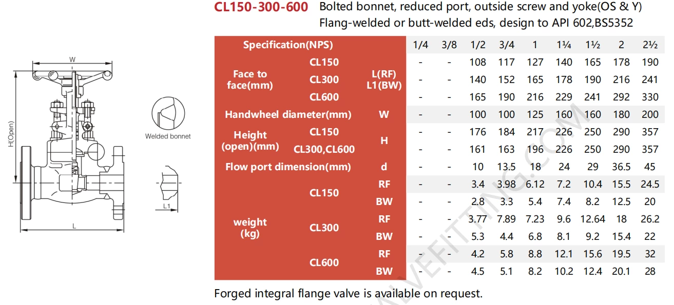 API602 Forged Stainless Steel Flanged Gate Valve Class 1500