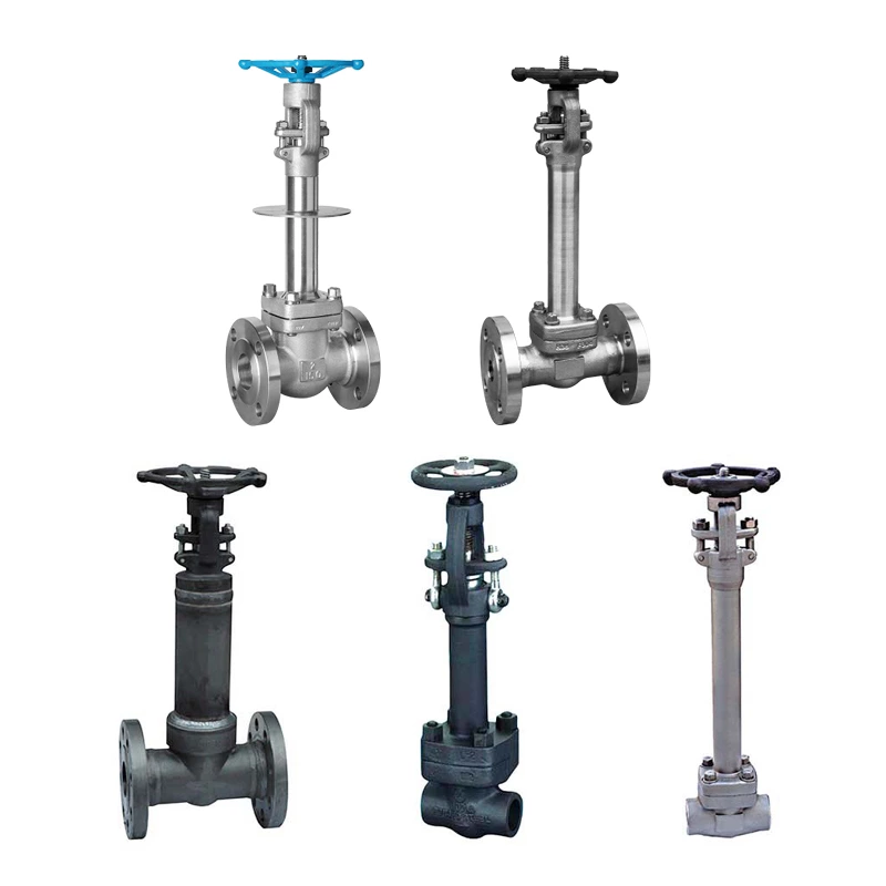 FVF Cryogenic Gate & Globe Valve