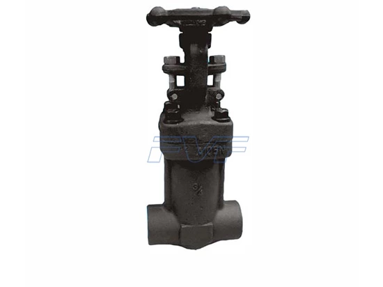 Forged Steel Gate Valve: Precision Manufacturing, Stable And Reliable