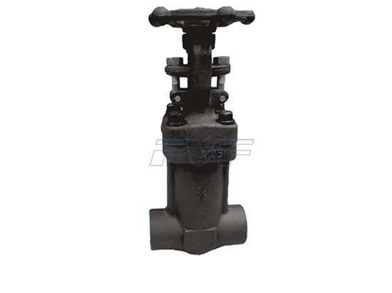 What Are The Leak Detection And Prevention Measures For Forged Steel Gate Valves