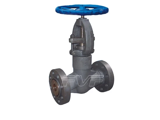 What Are The Common Maintenance Measures To Extend The Service Life Of Forged Steel Stop Valves?