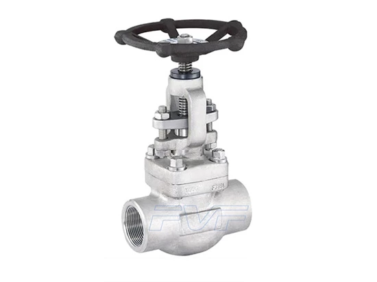 Recommendations For Selecting And Maintaining Forged Steel Globe Valves